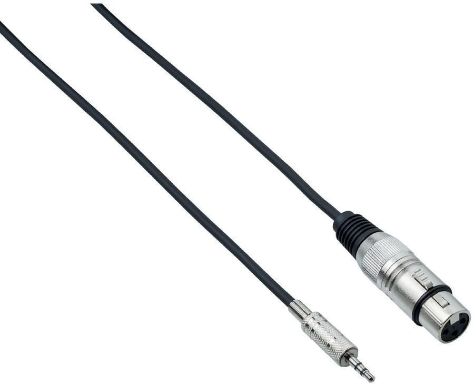 Bespeco EAMC300 3 m Audiokábel