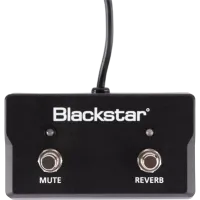 BLACKSTAR FS-17 Sonnet Series 2 Button Controller