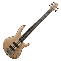 Cort A5PlusFMMH-OPN bass guitar