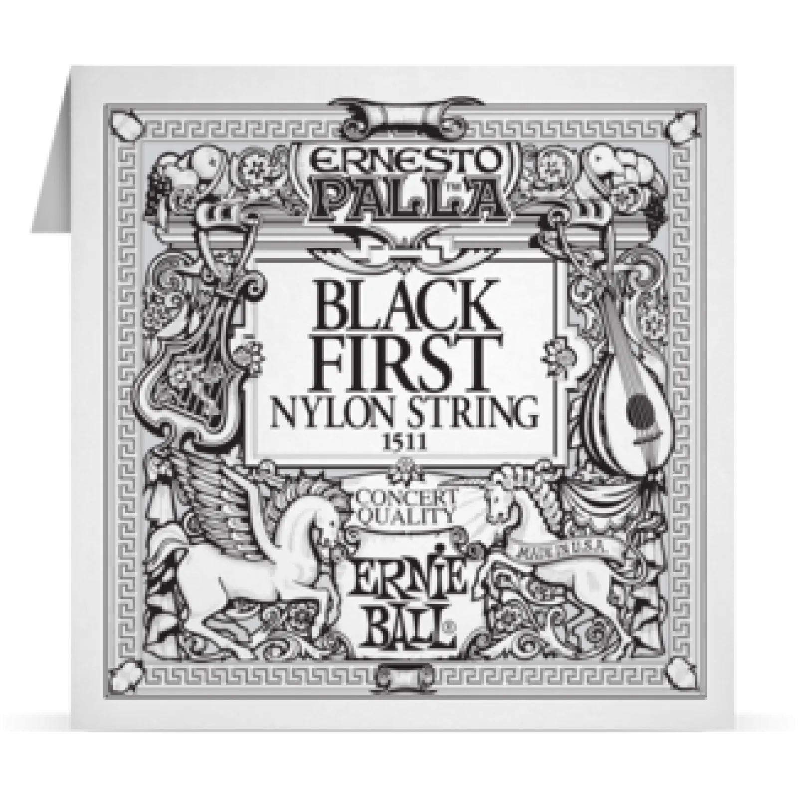 Ernie Ball Classical Single Black E1
