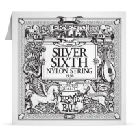 Ernie Ball Classical Single Silver E6 String