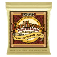 Ernie Ball EARTHWOOD BRONZE 12 STRING Custom Light 10-48