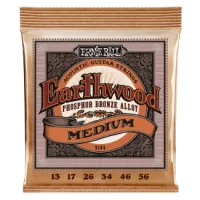 Ernie Ball Earthwood Phosphor Bronze Medium 13-56