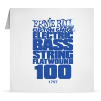 Ernie Ball Single FlatWound Bass 100