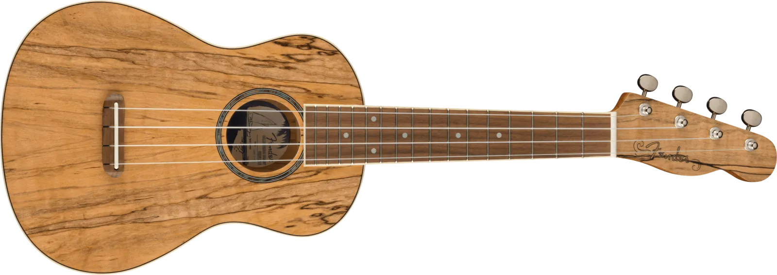 Fender Zuma Exotic Concert Ukulele Natural Spalted Maple