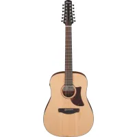 Ibanez AAD1012E-OPN 12-String Electro-Acoustic Guitar
