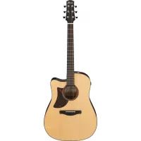 Ibanez AAD170LCE-LGS Electro-Acoustic Guitar