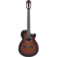 Ibanez AEG74N-MHS elektro-klasszikus gitár