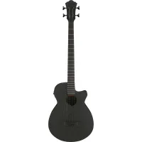 Ibanez AEGB420-BOT Acoustic Bass Guitar