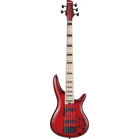 Ibanez ANB205-TWB Bass Guitar