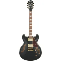 Ibanez AS73G-BKF