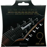 Ibanez IEGS9 9-80 9 String Electric Guitar String