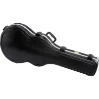 Ibanez MS100C hollow body gitár keménytok