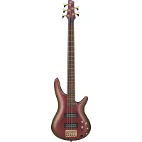 Ibanez SR305EDX-RGC bass guitar