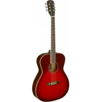 James Neligan BES-A TRB Acoustic Guitar