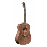  James Neligan DOV-D Acoustic Guitar 