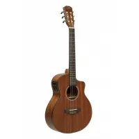 James Neligan OLO-CE N Electro-Classical Guitar