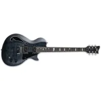 LTD BW-1 EVERTUNE STBLKF BEN WEINMAN - Incl. Case