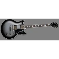 LTD ROYAL SHIVA SILVER SUNBURST