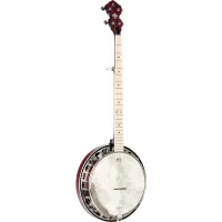 Ortega OBJE400TFR 5-string Banjo