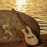Ortega RCE138-T4-L Electro-Classical Guitar