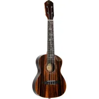 Ortega RUET-EB concert ukulele