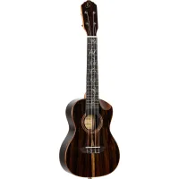 Ortega RUET-ZC concert ukulele