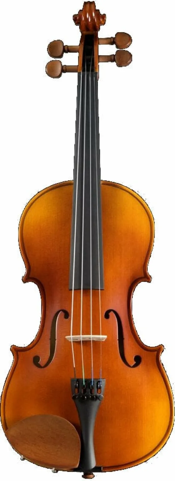 Pearl River PR-V01 4/4 Violin