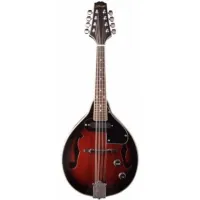 Stagg M50 E Electro-Acoustic Mandolin