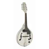 Stagg M50 E WH Mandolin