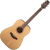 Takamine GD20 Natural Satin Acoustic Guitar